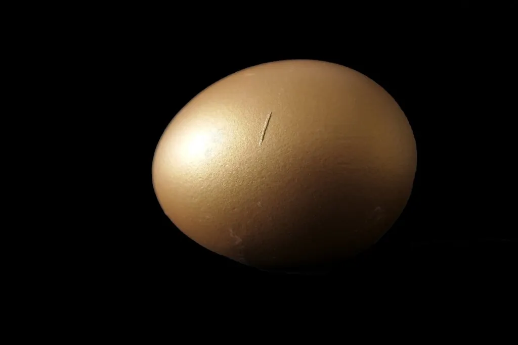 https://bhbusiness.com/wp-content/uploads/sites/7/2023/05/Golden-egg-1024x683.jpg