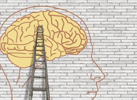 head with a brain and ladder Image by Gerd Altmann from Pixabay