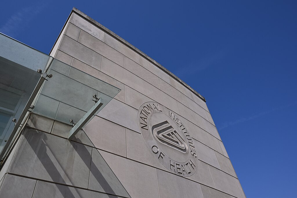 NIH’s $50M for New Autism Research Draws Concerns from Advocacy Group