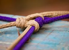 picture of knot illustrates merger of Vita Health and Valera Health